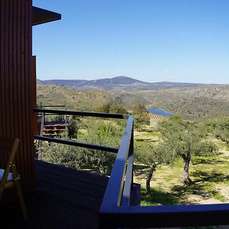 Coa Honeycomb ピニェル