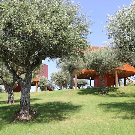 Côa Honeycomb Alojamento de Turismo Rural Pinhel