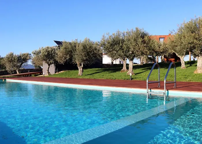 Coa Honeycomb ピニェル