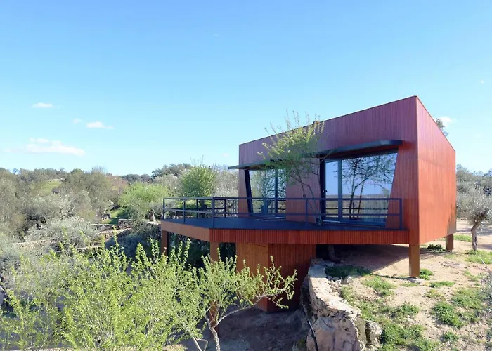 ファームステイ Coa Honeycomb