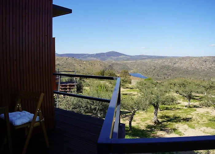 Côa Honeycomb Pinhel