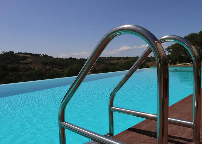 农家乐 Coa Honeycomb *