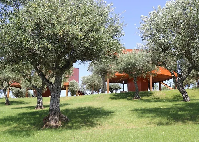 Côa Honeycomb Alojamento de Turismo Rural Pinhel