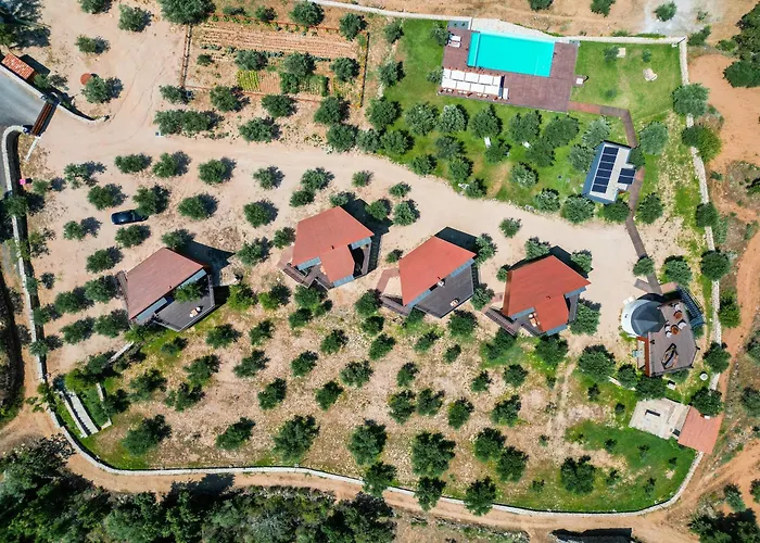 ファームステイ Coa Honeycomb ピニェル